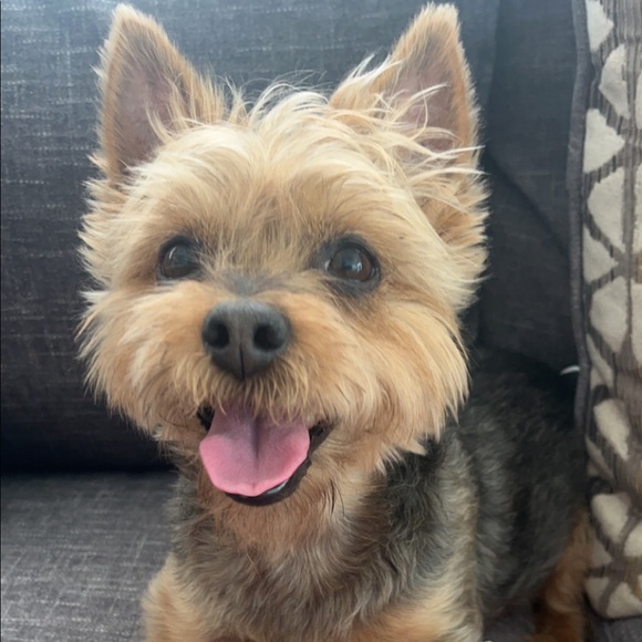 โI look spooky but, Iโm really nice.โ ๐ป๐ค - Picture 3 of 3